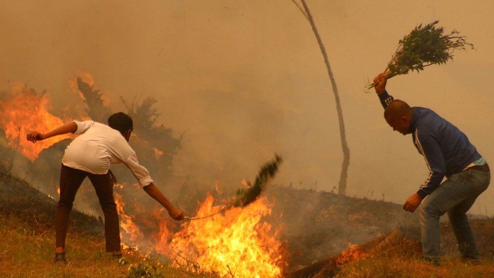 Why scientists are worried about forest fire in India and Nepal?