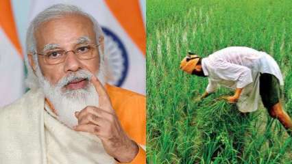 PM Kisan FPO Blueprint: Centre to provide Rs 18 lakhs for farmers in the event that they attain THIS