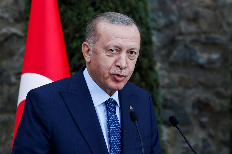 Business News  Business Article  Business Journal Erdogan says he hopes unstable Turkish lira will steady quickly