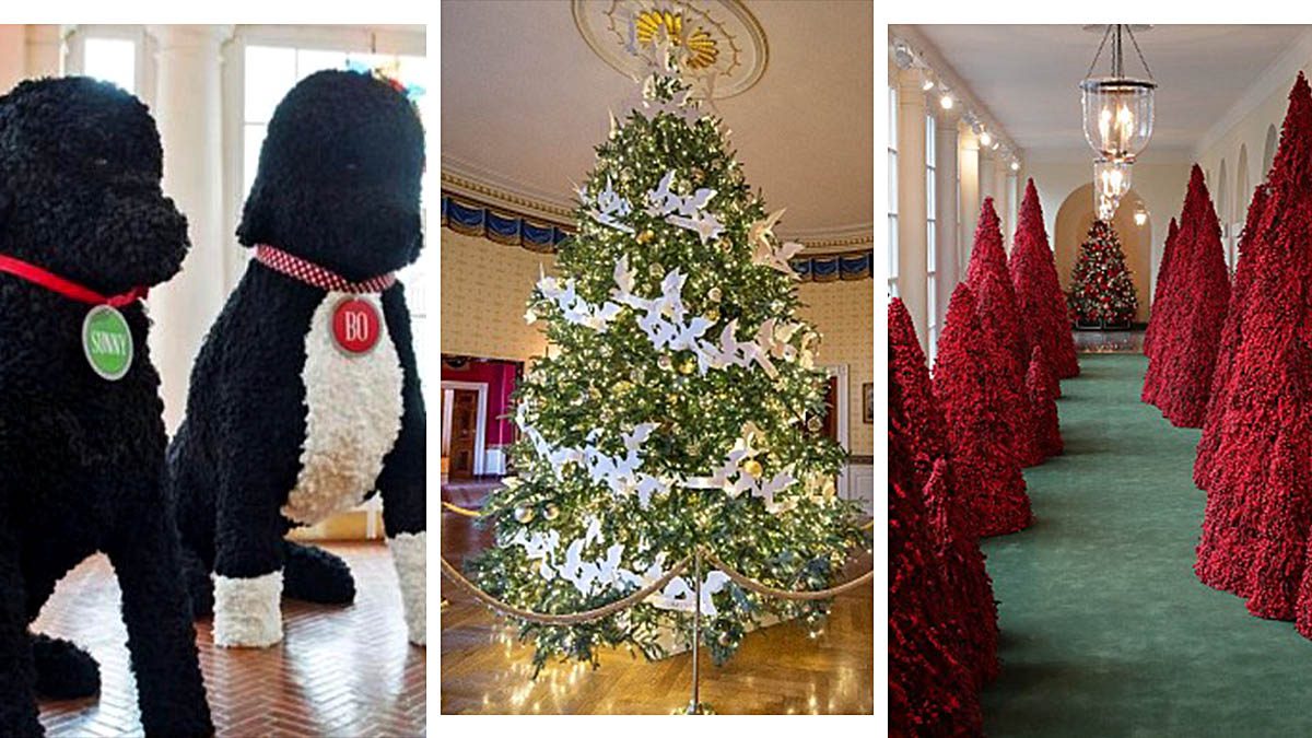 Business News  Business Article  Business Journal Biden, Trump, Obama: Whose White Dwelling Christmas Decor Is Handiest—and Worst? Receive a Spy