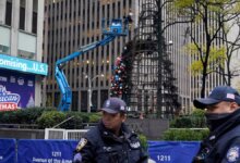 Business News Business Article Business Journal Man Arrested After ‘All-American’ Christmas Tree Situation On Fire Open air Fox News Headquarters