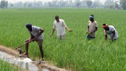 Aim is to double earnings of farmers by 2022: Government tells Lok Sabha