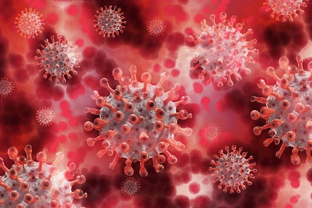 How the COVID Virus Sneaks Past Immune Defenses