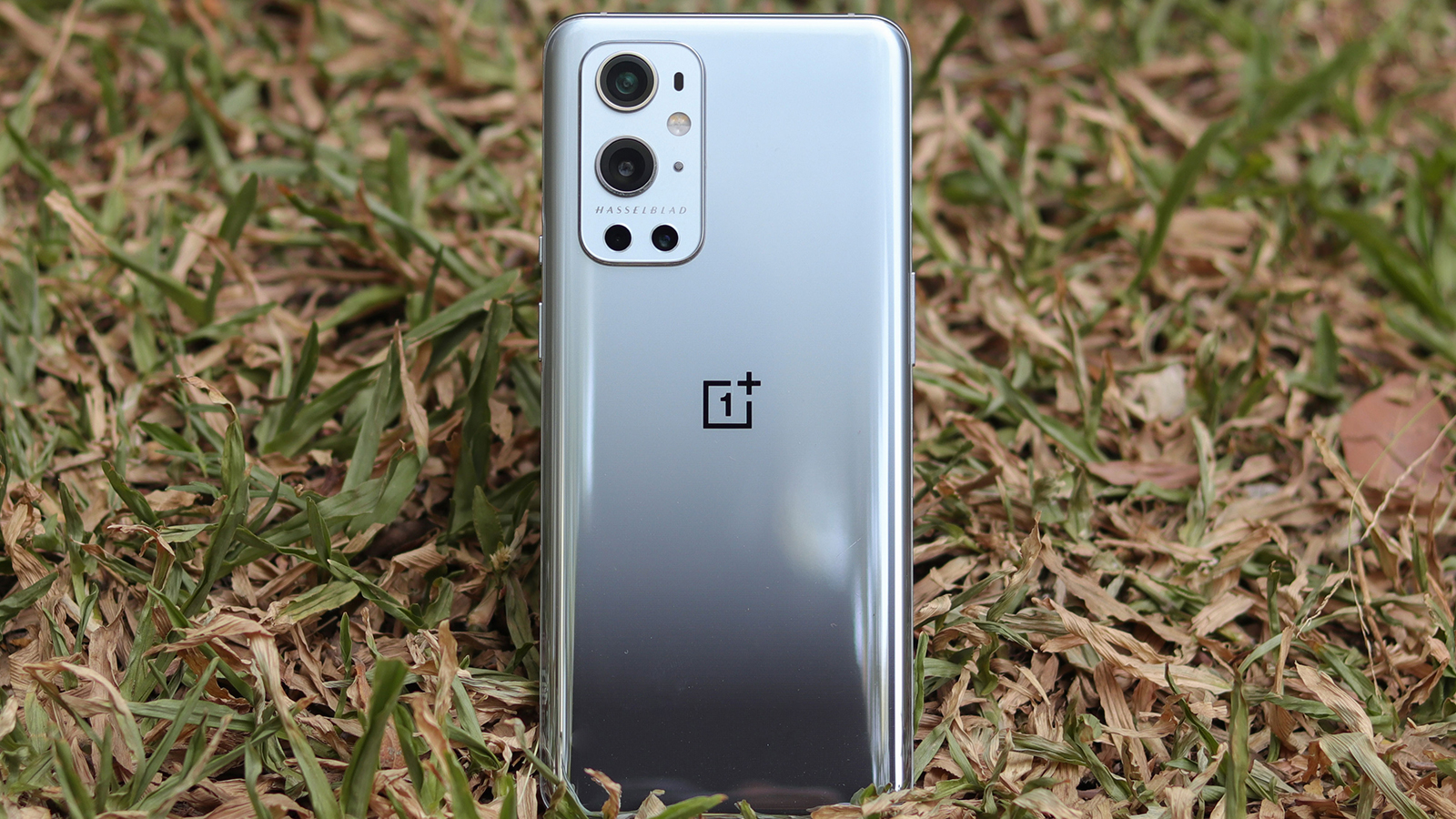 OnePlus 10 Skilled leak reveals all of the phone’s key specs