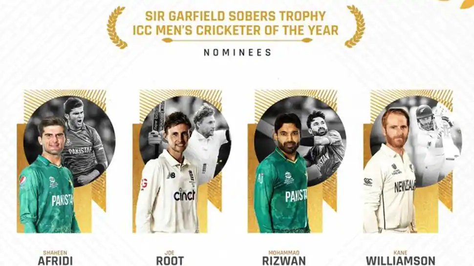 ICC Take a look at player of the year: Shaheen Afridi, Mohammad Rizwan amongst four nominated, no Indian picked