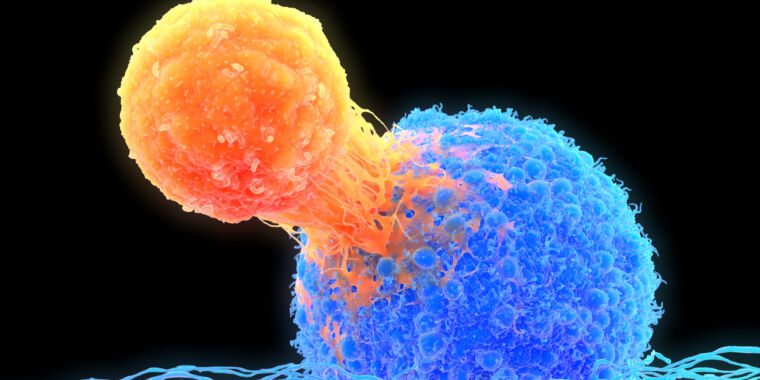 For T-cells, omicron is nothing new