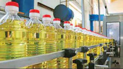 Centre to conduct shock inspections of suitable for eating oil, oilseed stocks; strict action against violators