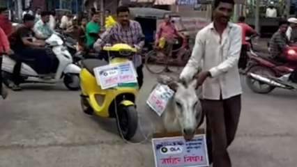 Unheard of notify: Excited customer ties electric scooter to donkey after Ola ignores complaints