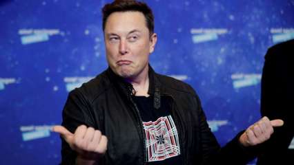 DNA Particular: Why did Elon Musk set the Twitter deal on shield?
