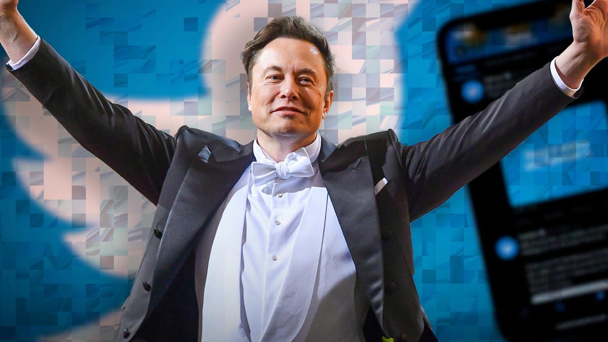How Elon Musk’s Mighty Crypto Twitter Experiment Can Prevail