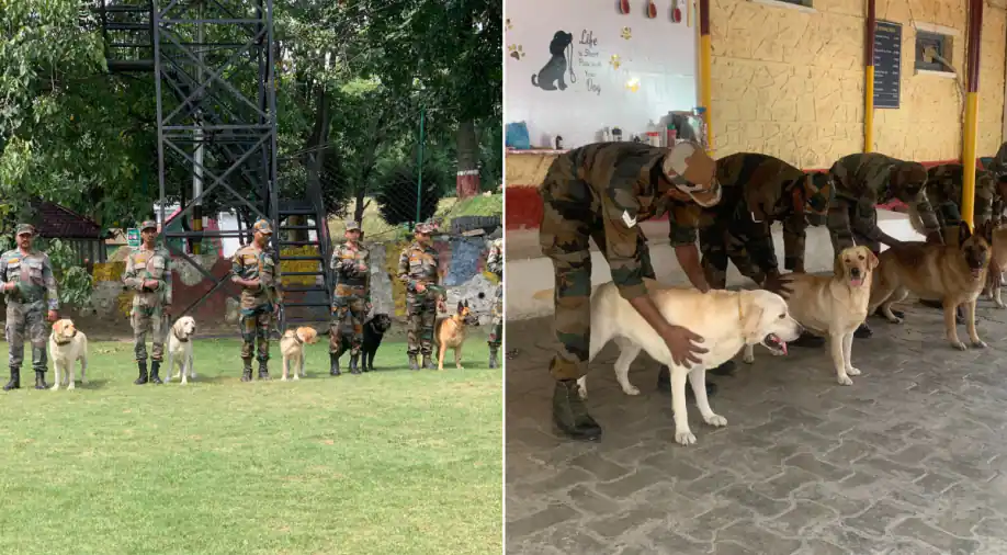 Indian Military’s canine squad, a clarification for safe and a hit anti-scare operations in Jammu & Kashmir