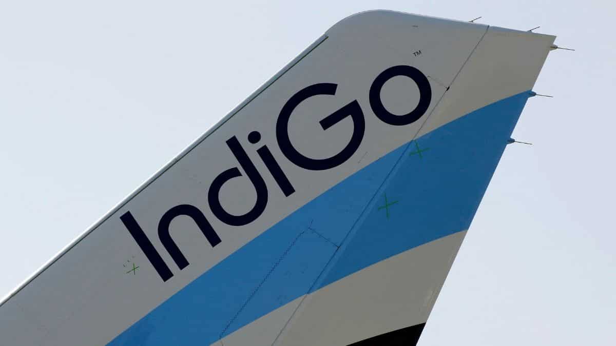 Drunk passenger aboard IndiGo flight tries to initiating emergency exit mid-air, arrested