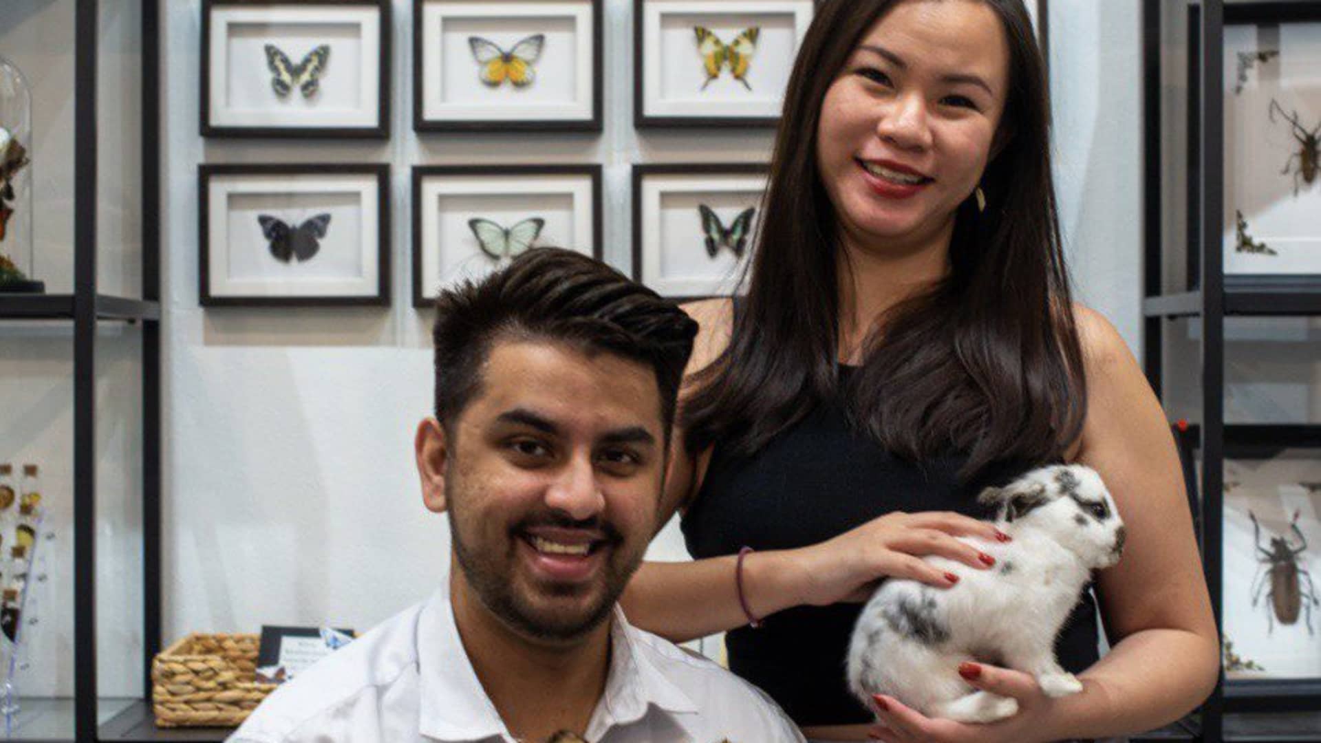 This Singaporean couple runs a facet industry maintaining useless animals — and it’s bringing in 5 figures a month