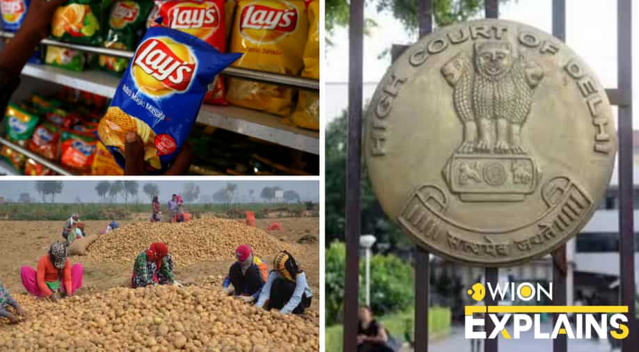 Outlined | Delhi HC rejects PepsiCo’s enchantment for patent on potato seeds: What used to be the case about?