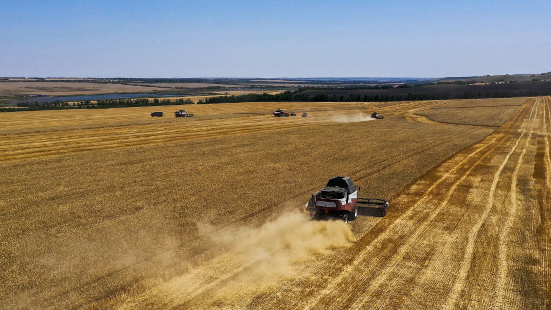 Wheat prices surge after Russia axes grain deal. And it is no longer lawful news for the arena’s meals present