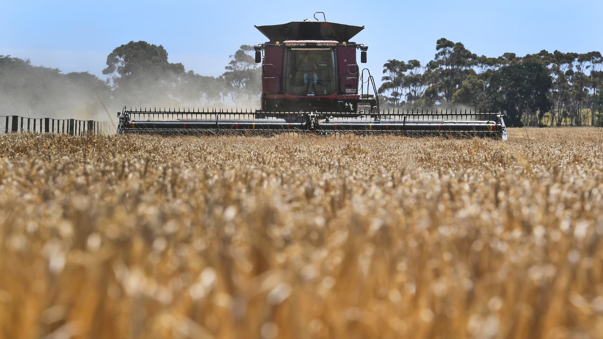 China lifts anti-dumping tariffs on Australian barley after three years, easing present issues