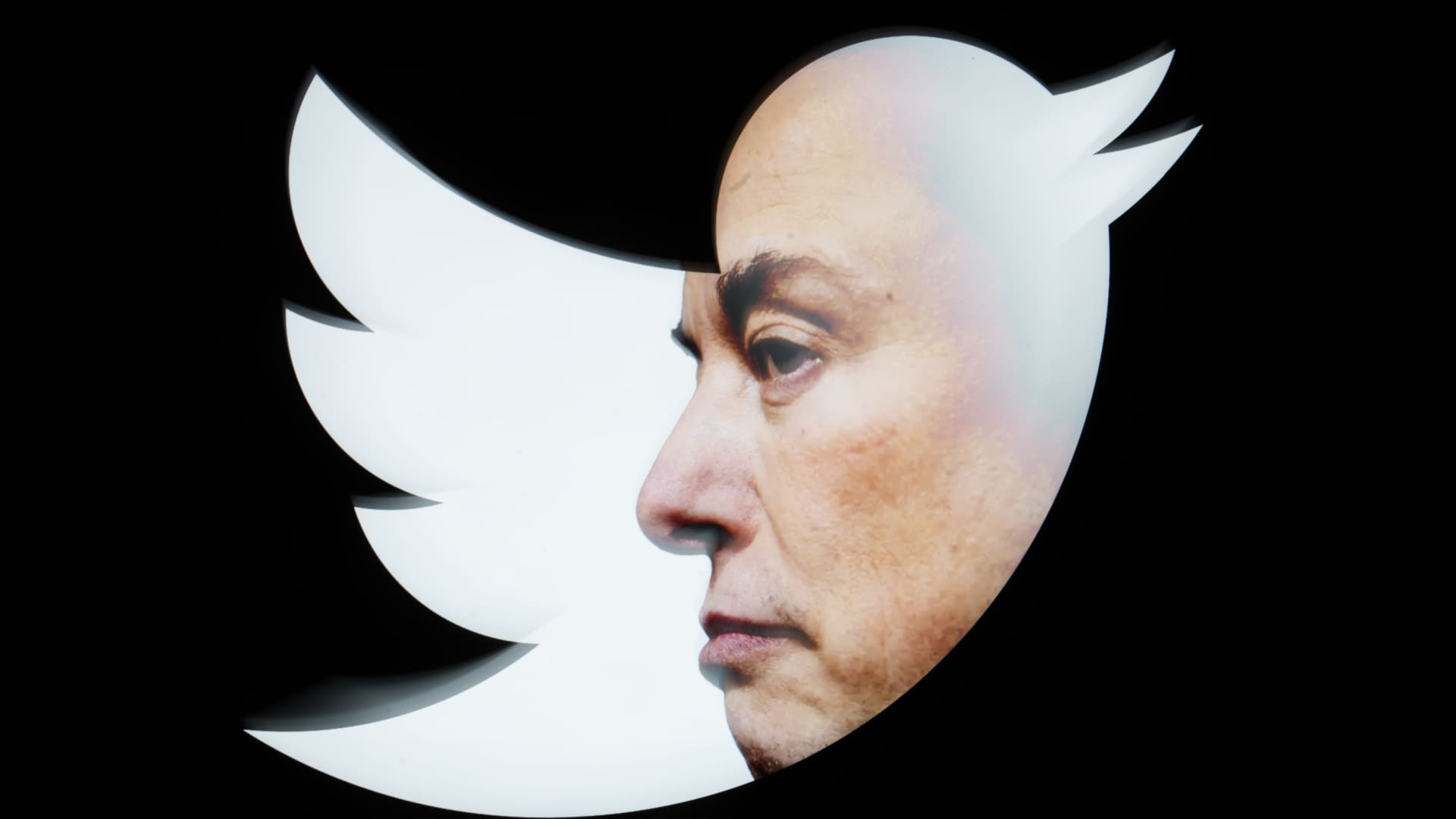 Facing lawsuit from Musk, nonprofit head says he would possibly per chance presumably per chance per chance now not stop exposing Twitter’s complications