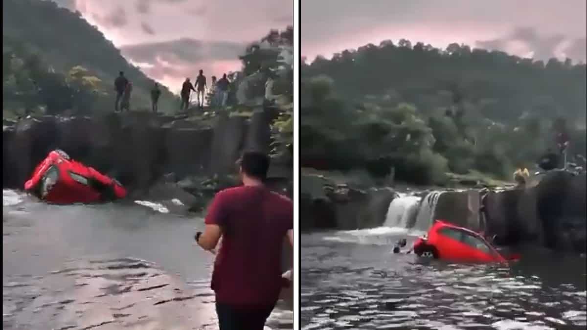 WATCH | India: Father-daughter duo saved from drowning by fellow picnickers after vehicle plunges into waterfall