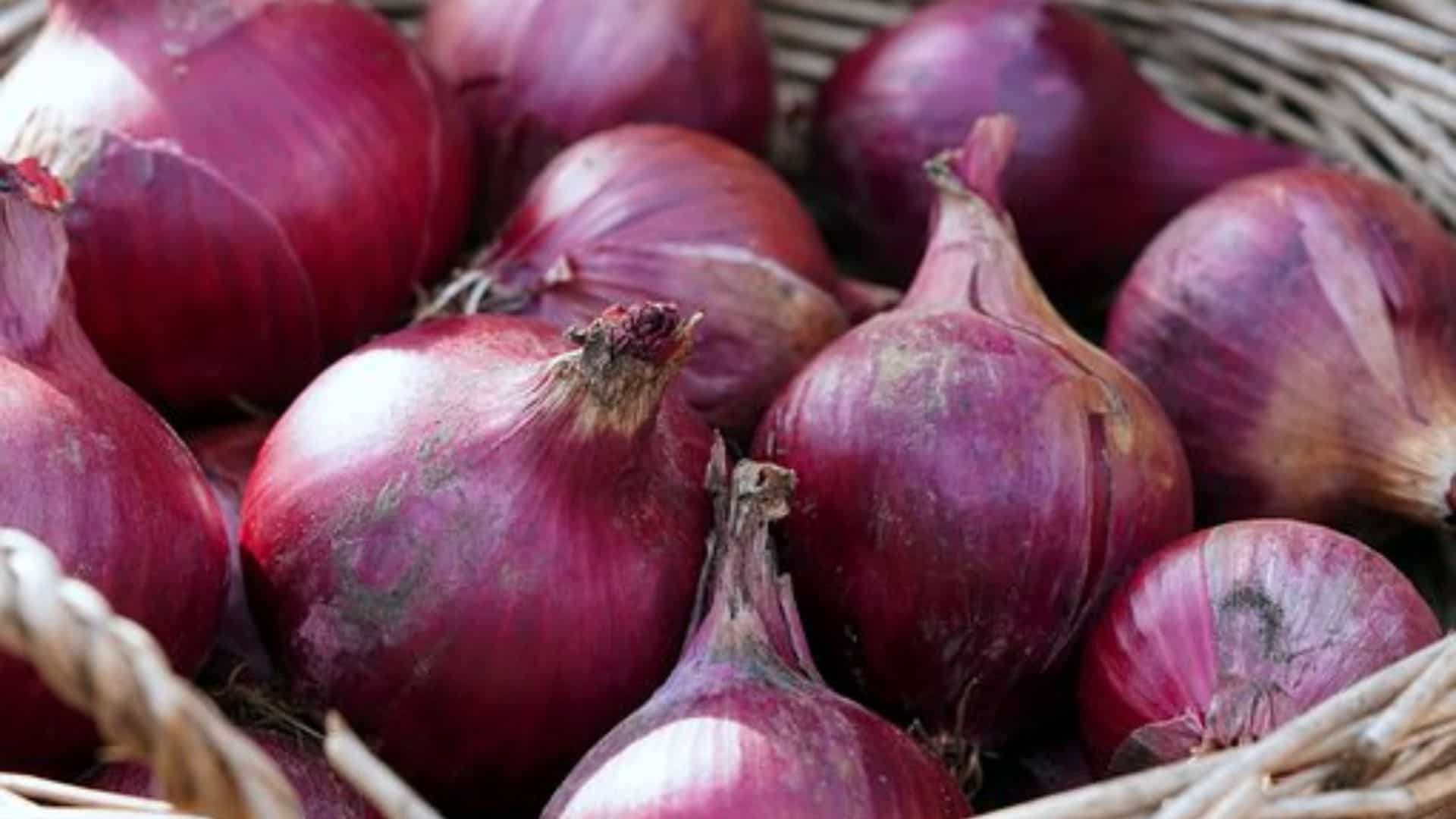 Indian govt imposes 40% export duty on onions to curb hovering local prices