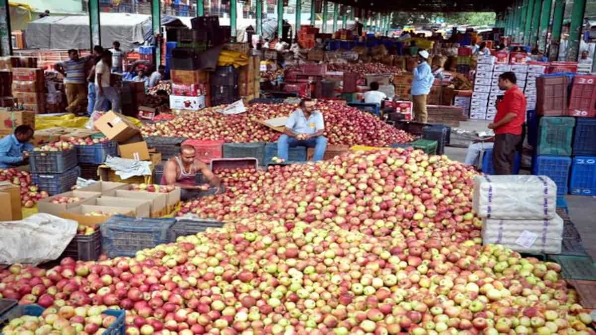 Asia’s 2d-greatest fruit mandi in Kashmir abuzz with investors from across India 