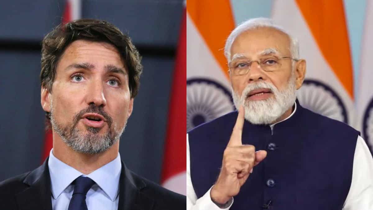 India to allege visas to Canadians but no longer beneath these four categories