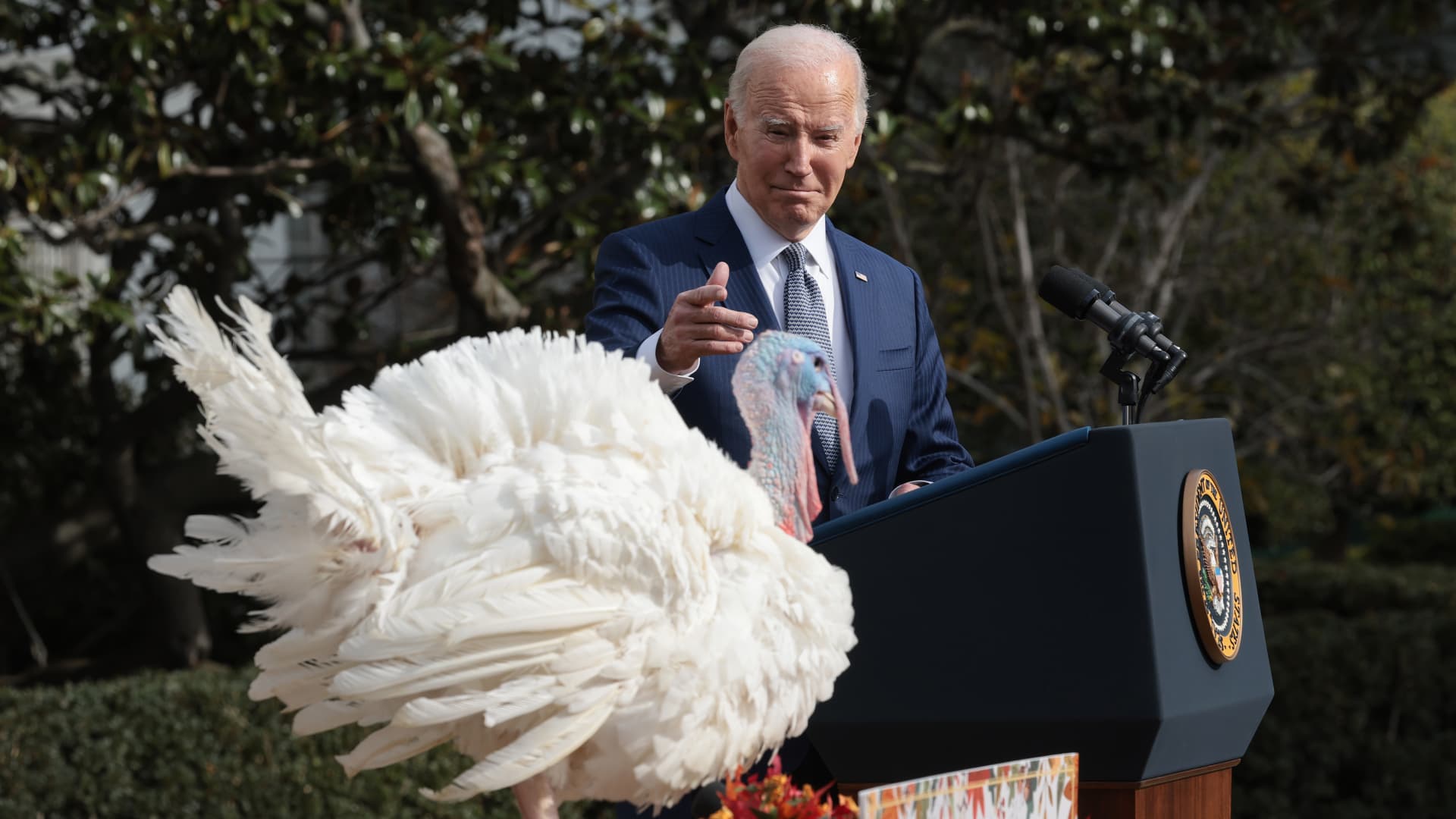 Biden desires credit rating for lower Thanksgiving meals and scramble costs, as inflation drags on his reelection marketing campaign