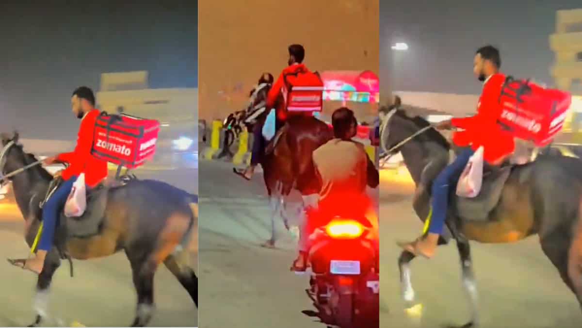 WATCH | Provide guy tackles fuel shortage amid truckers’ strike, gets on a horse to bring food