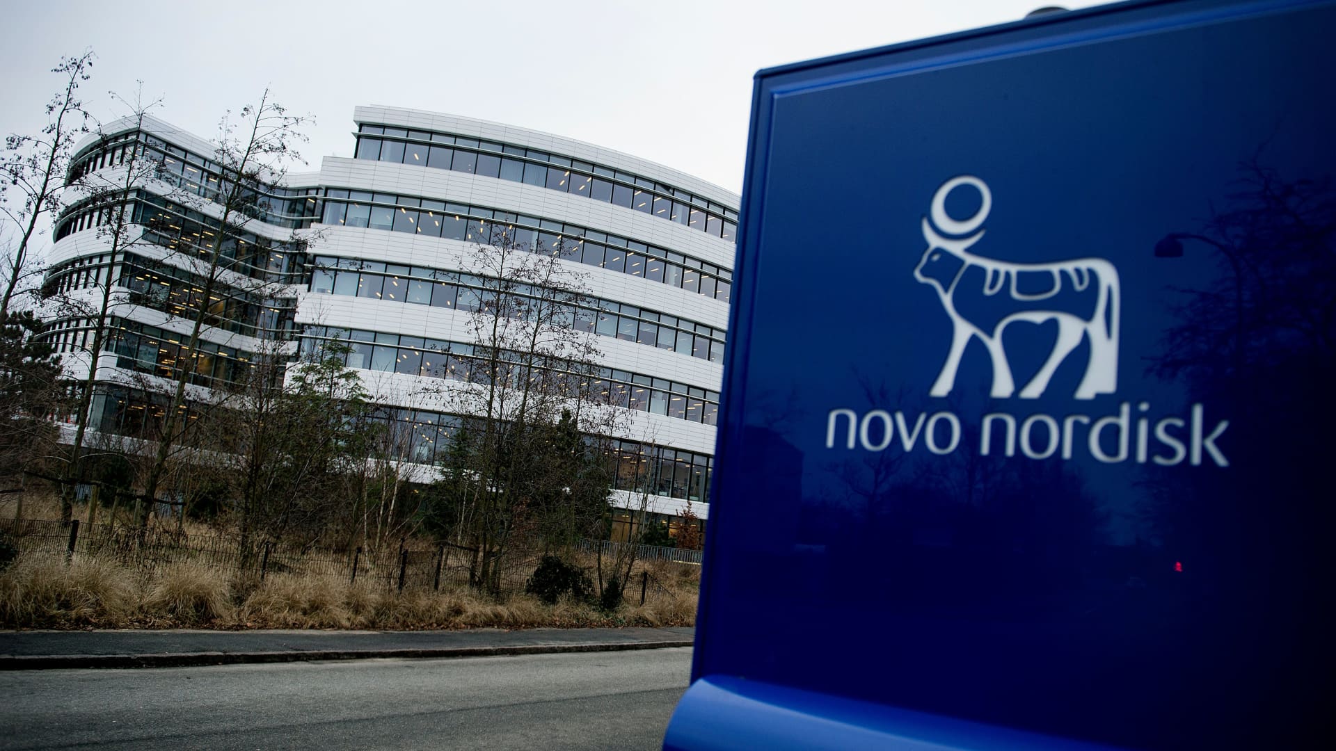 Novo Nordisk hits $500 billion in market price because it flags hovering query for Wegovy, Ozempic