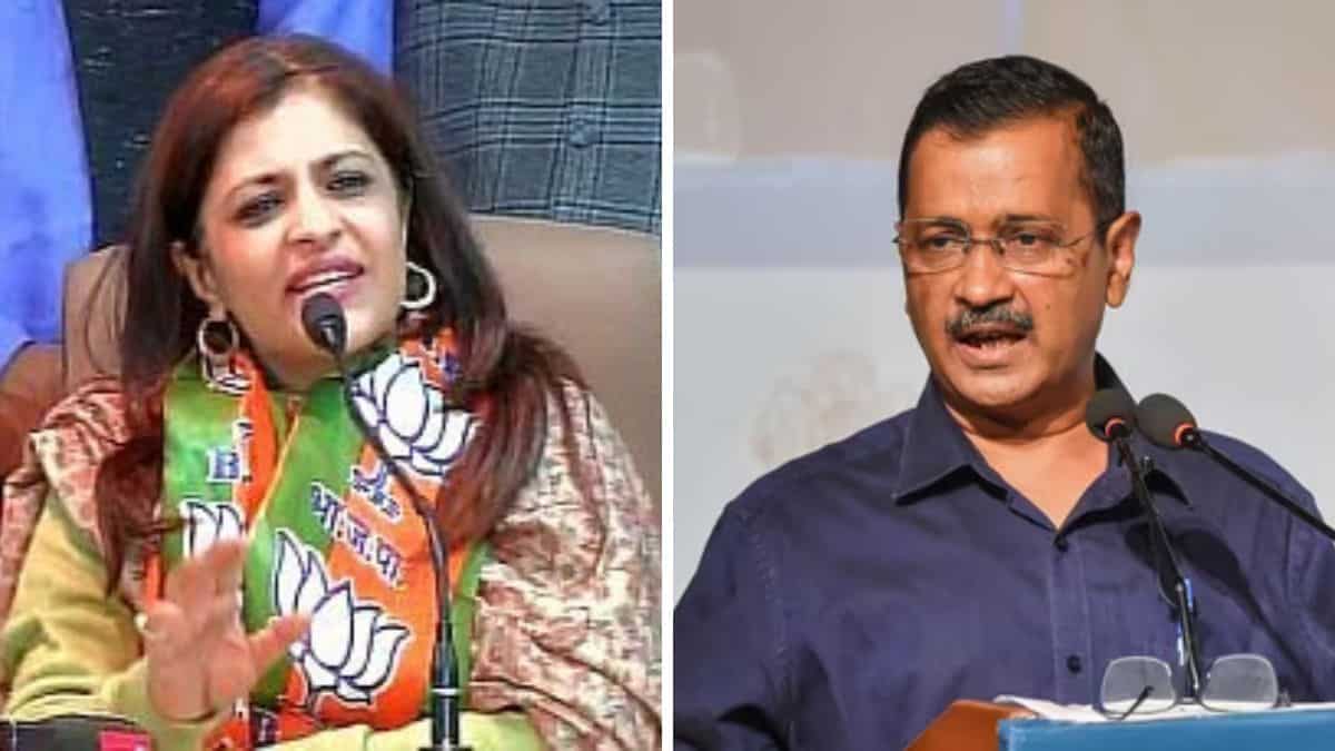 BJP’s Shazia Ilmi rebuffs AAP’s accusation of contrivance to execute Arvind Kejriwal, says he ate ‘eggs in some unspecified time in the future of Navratri’