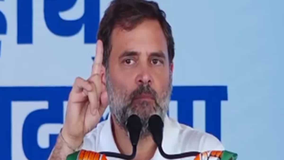 Lok Sabha Elections 2024: Criticism questions Rahul Gandhi’s Rae Bareli nomination for ‘being British citizen’