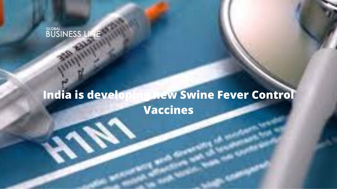India is developing new Swine Fever Control Vaccines