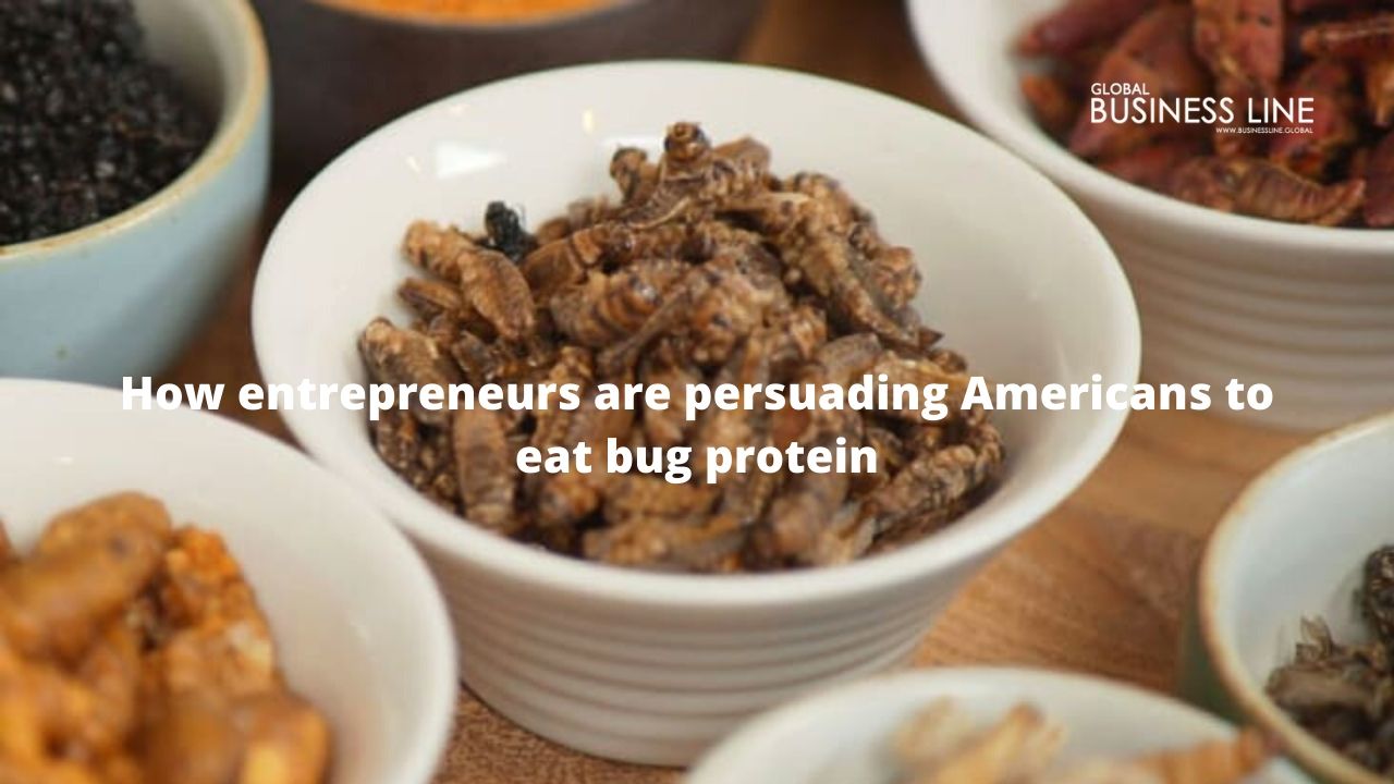 How business person are persuading Americans to eat bug protein