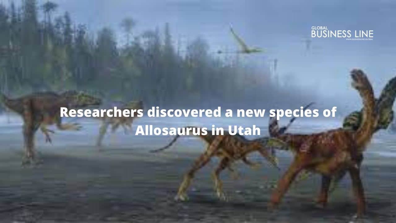 Researchers discovered a new species of Allosaurus in Utah