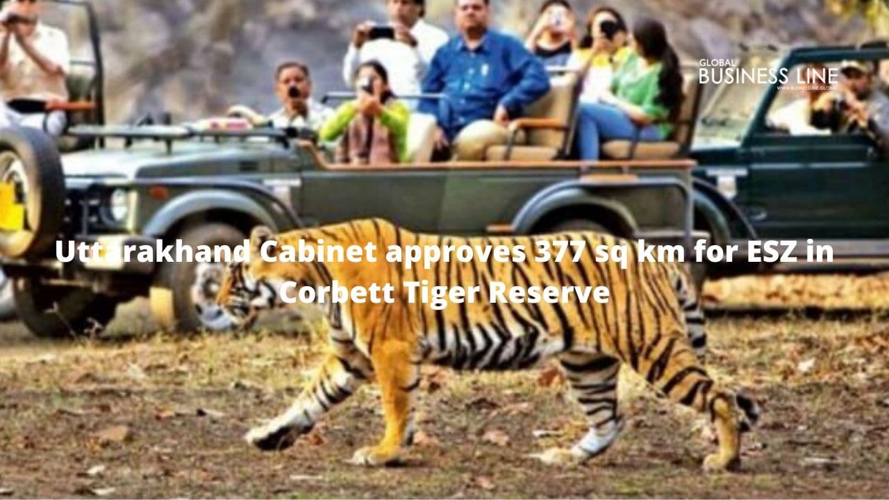 Uttarakhand Cabinet approves 377 sq km for ESZ in Corbett Tiger Reserve